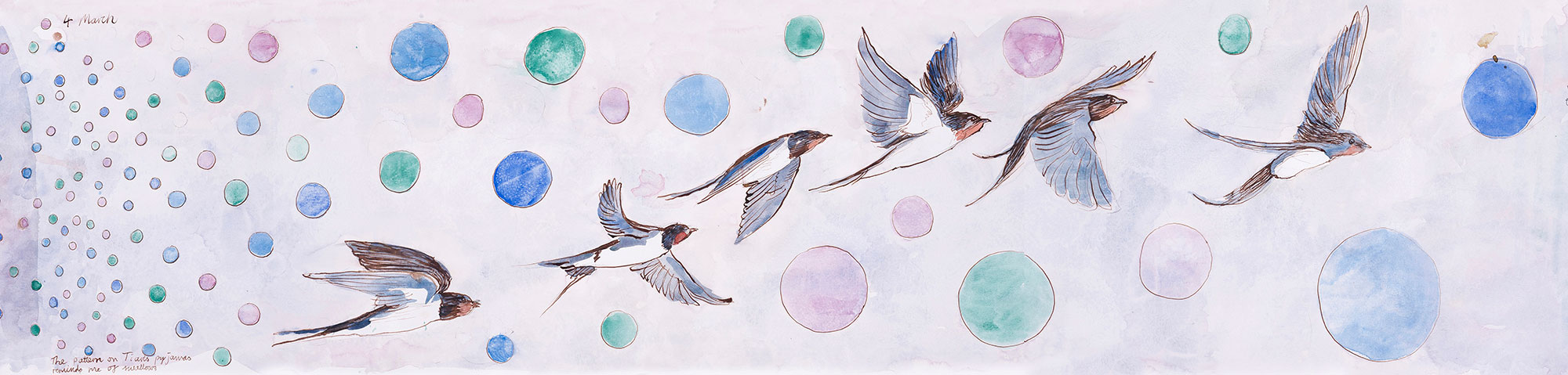 Swallow in Flight Swallow in Flight